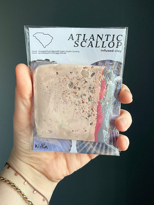 atlantic scallop infused clay