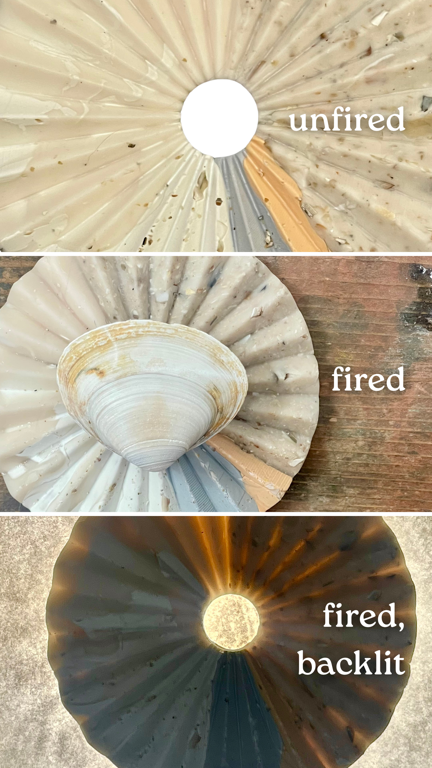 atlantic surf clam infused clay