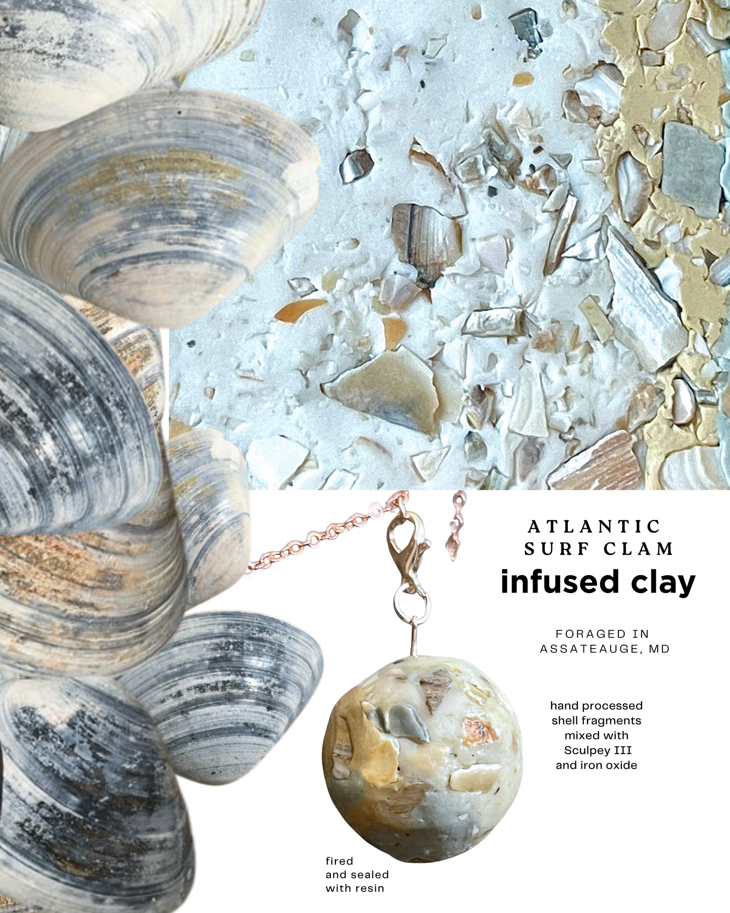 shell infused clay 2025 6-pack