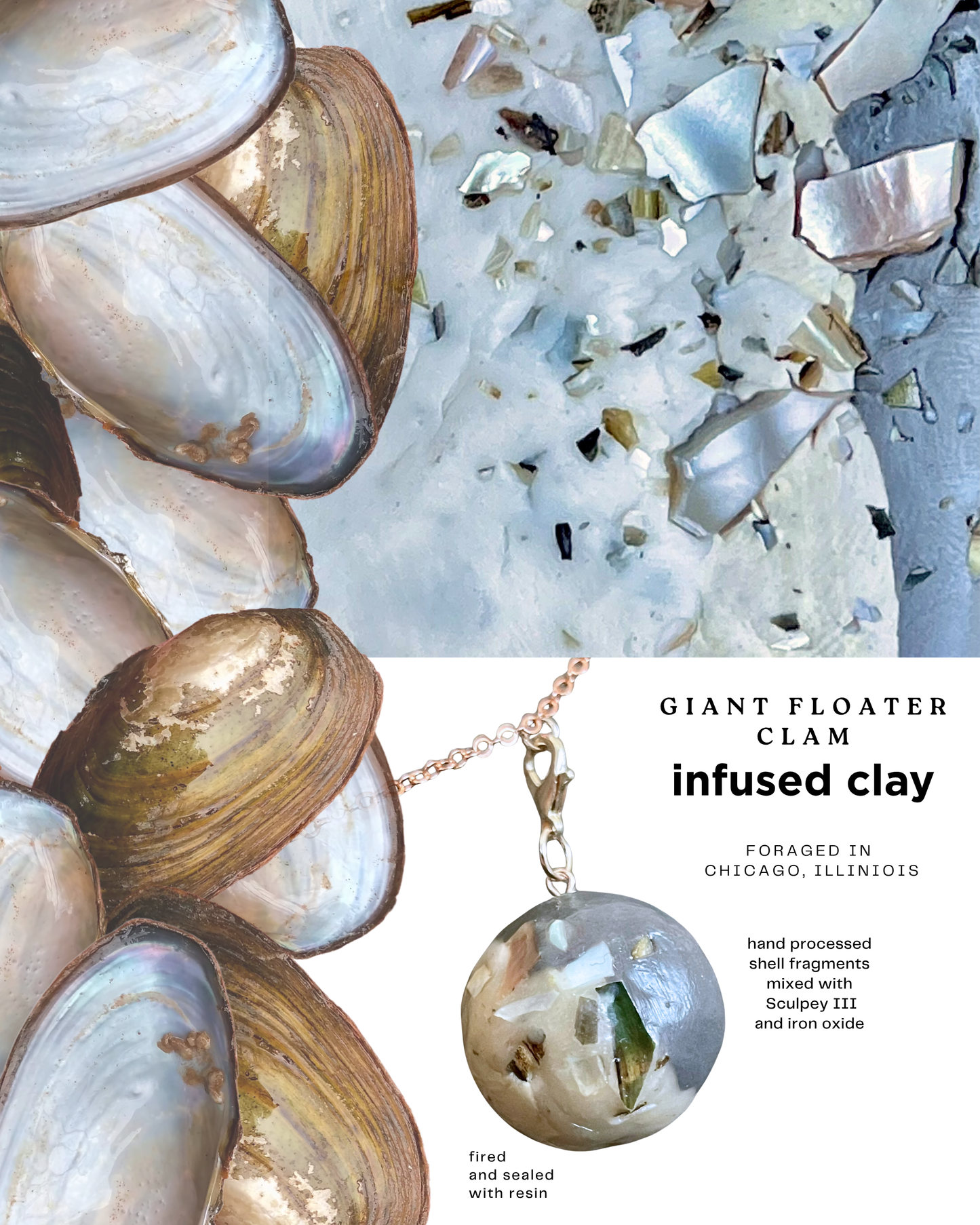 shell infused clay 2025 6-pack