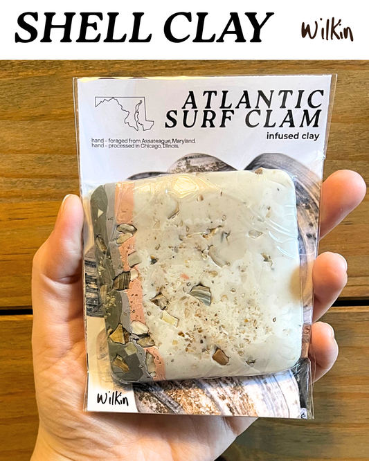 atlantic surf clam infused clay