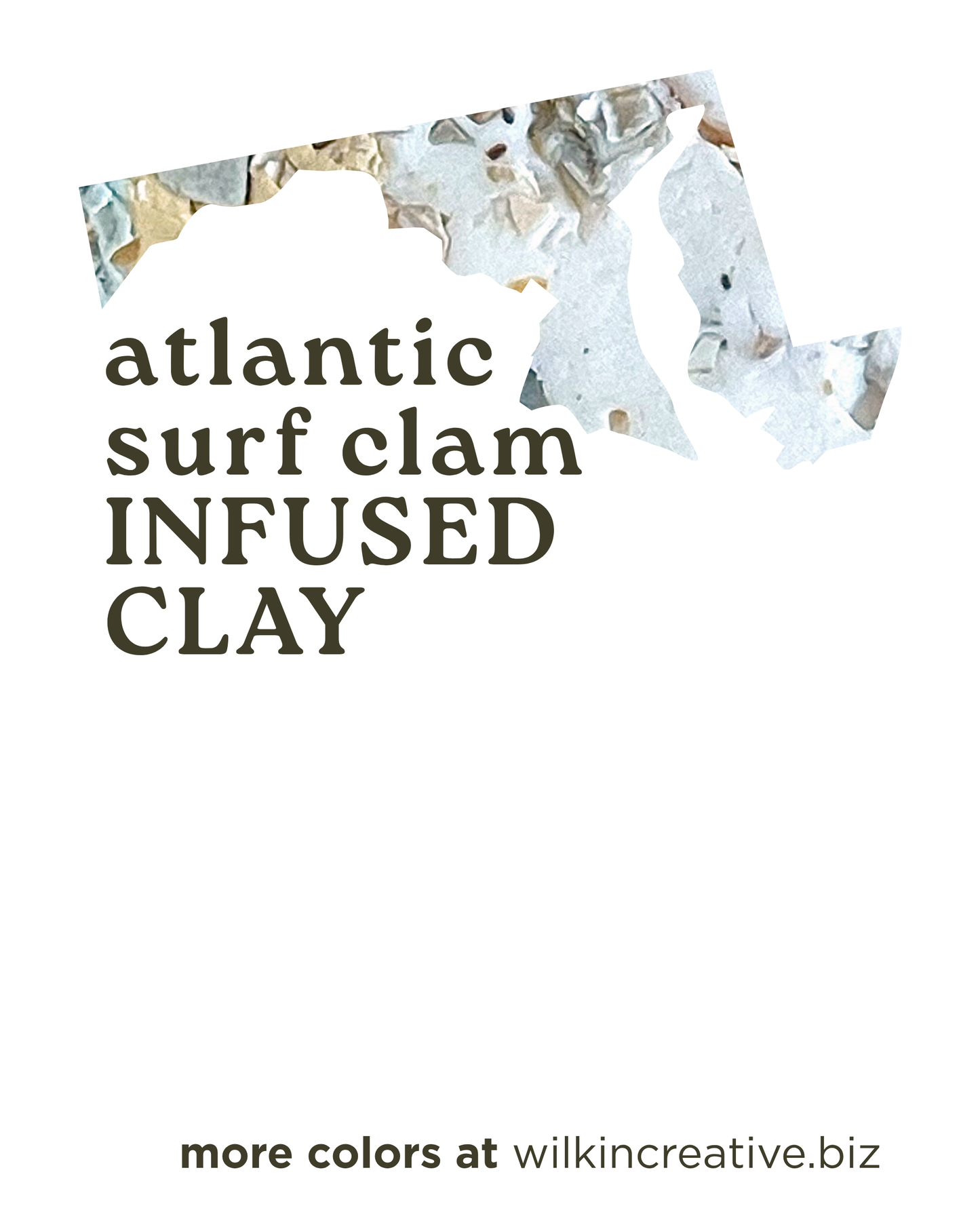 atlantic surf clam infused clay
