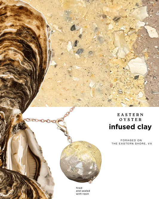 eastern oyster infused clay