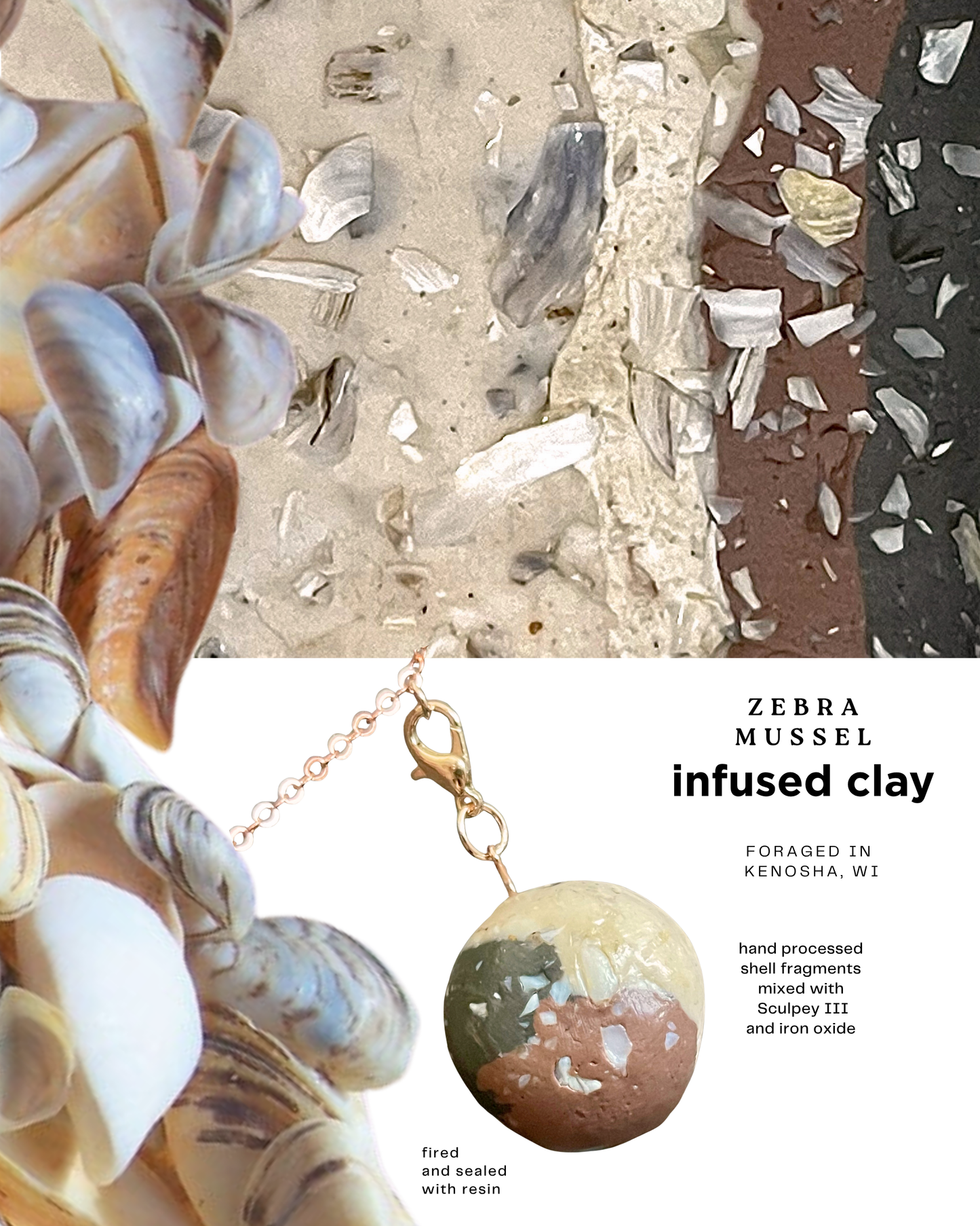 shell infused clay 2025 6-pack