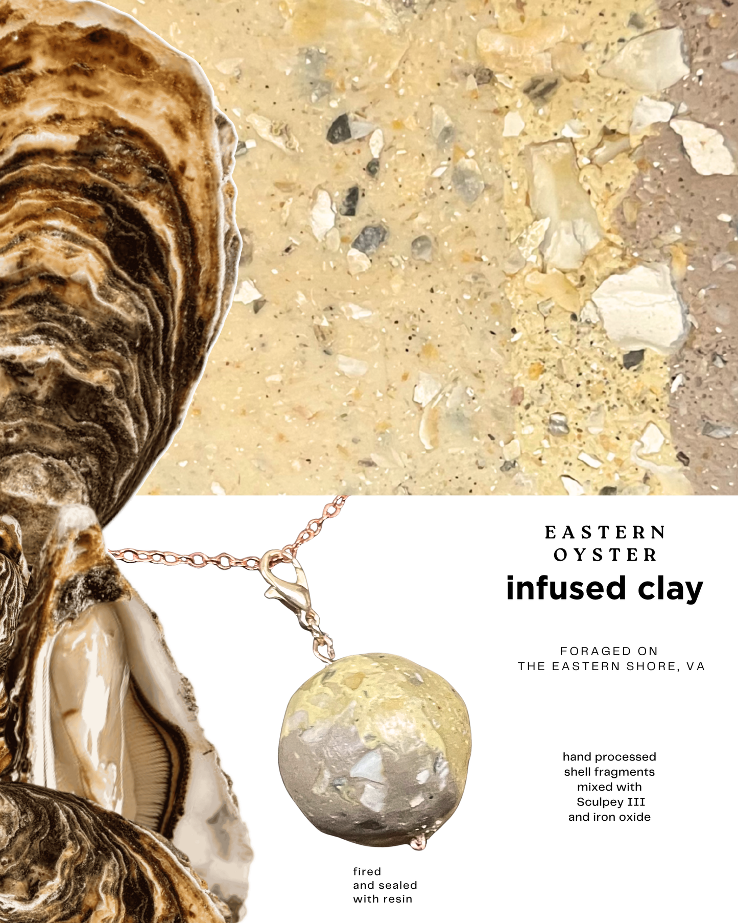 eastern oyster infused clay