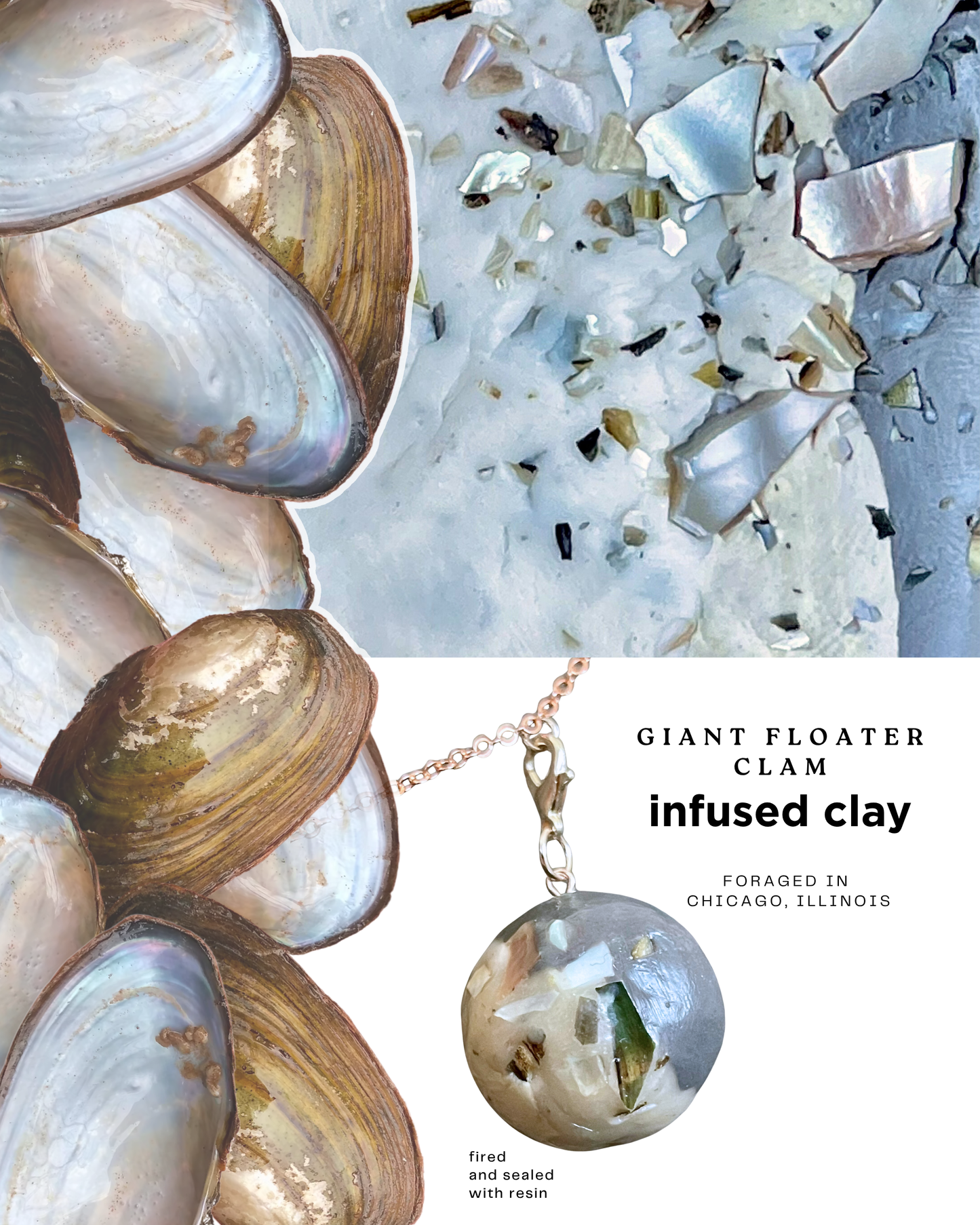 giant floater clam clay