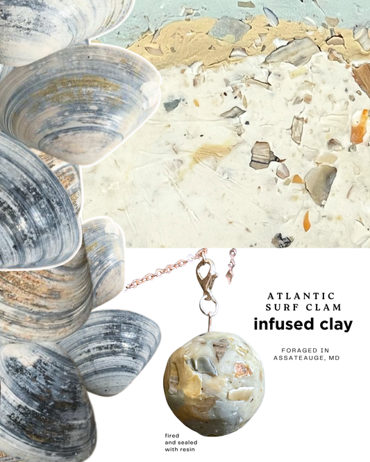 atlantic surf clam infused clay