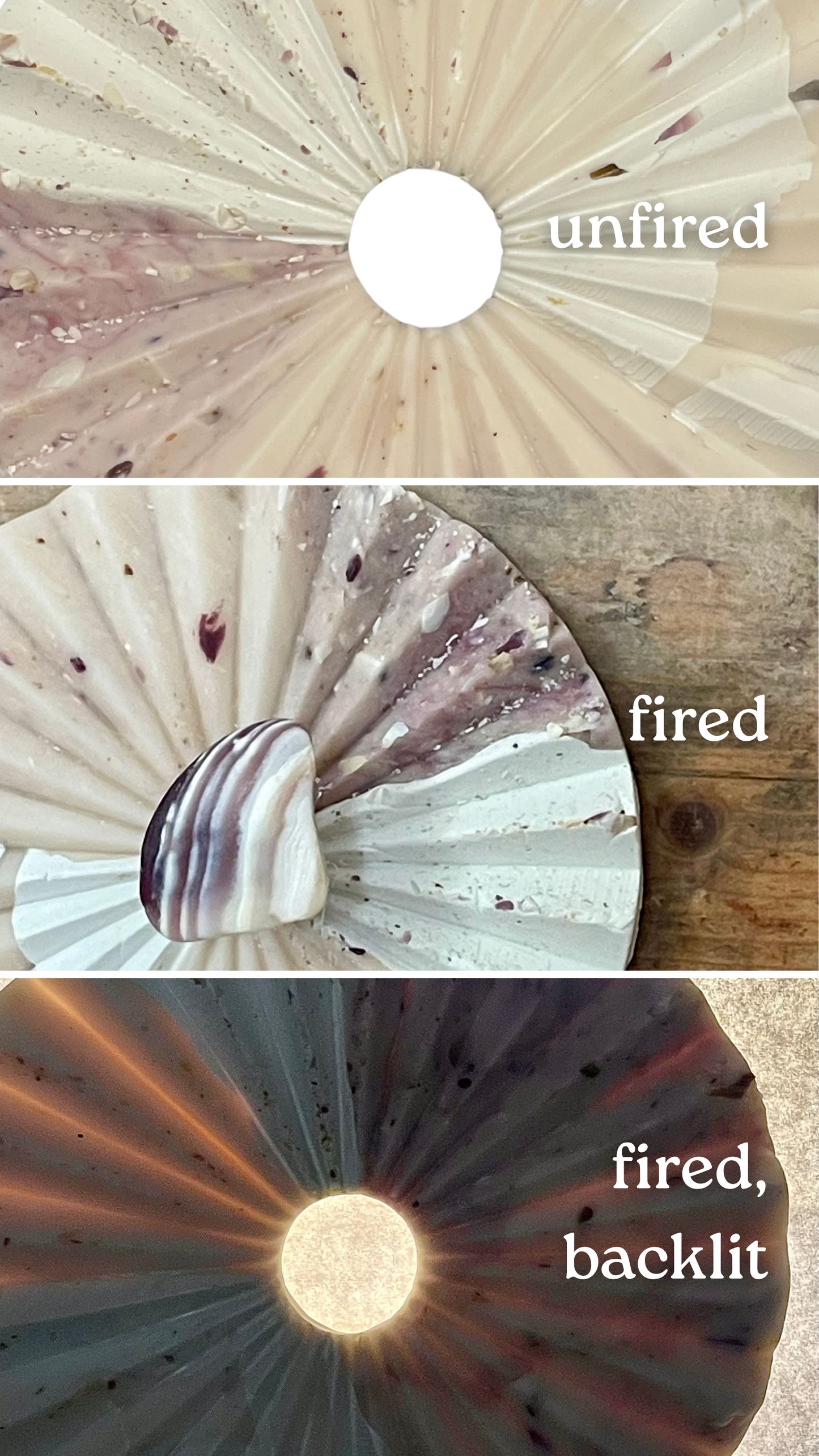 purple quahog infused clay