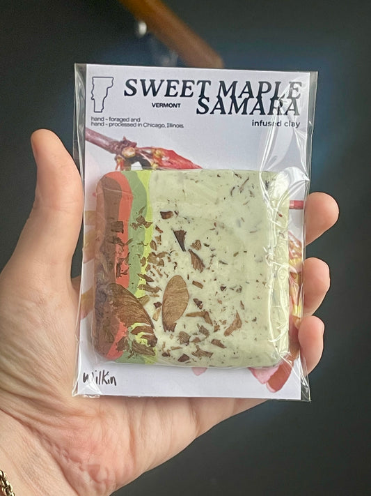 sugar maple samara infused clay