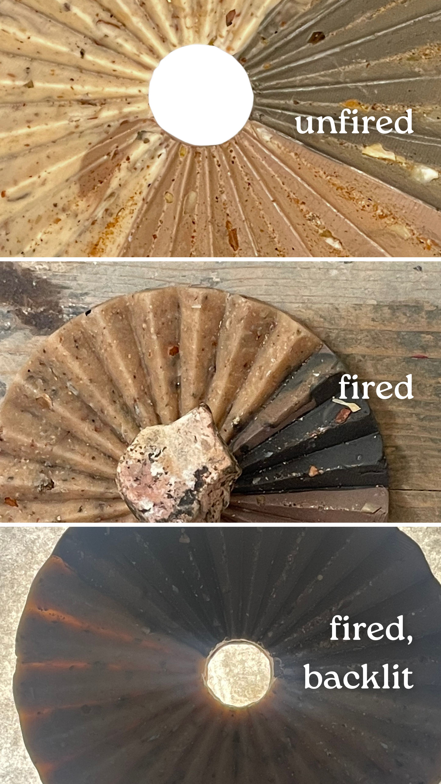 petrified wood infused clay