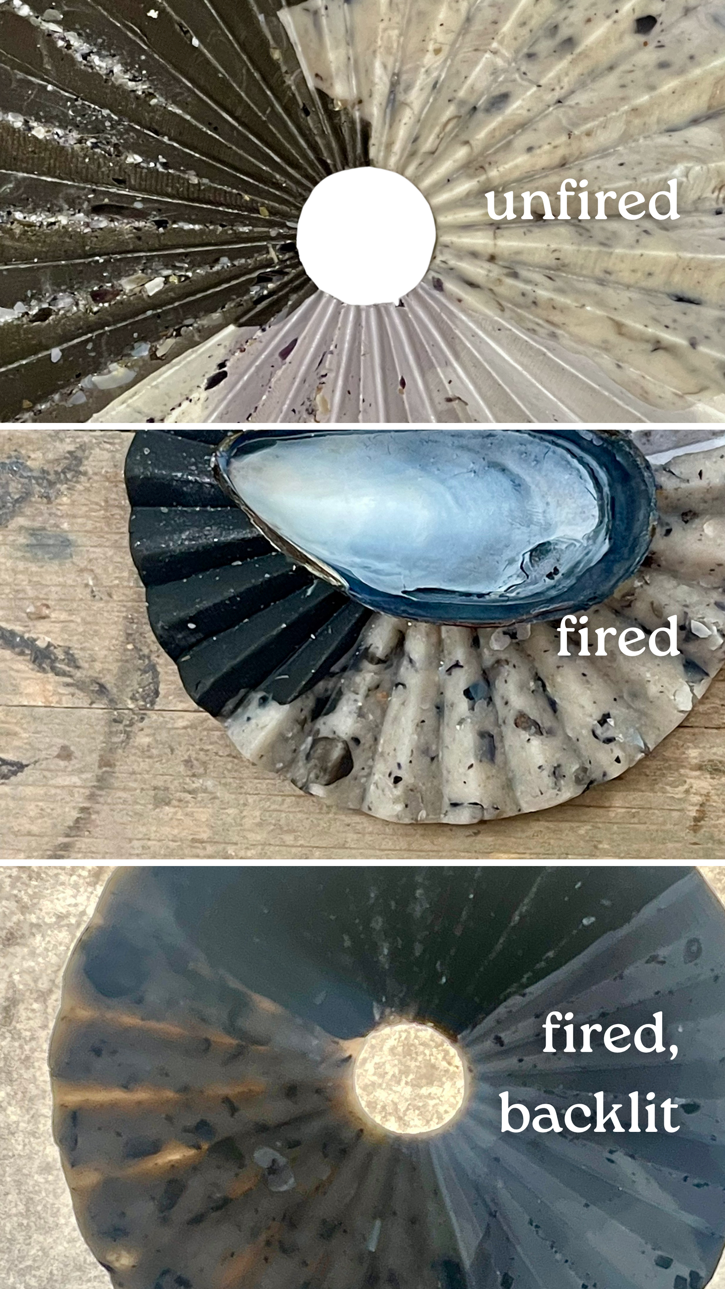 blue mussel infused clay