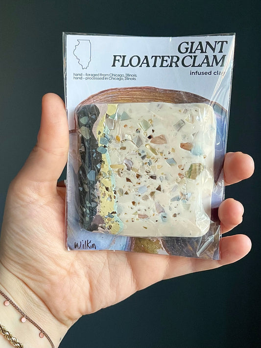 giant floater clam clay