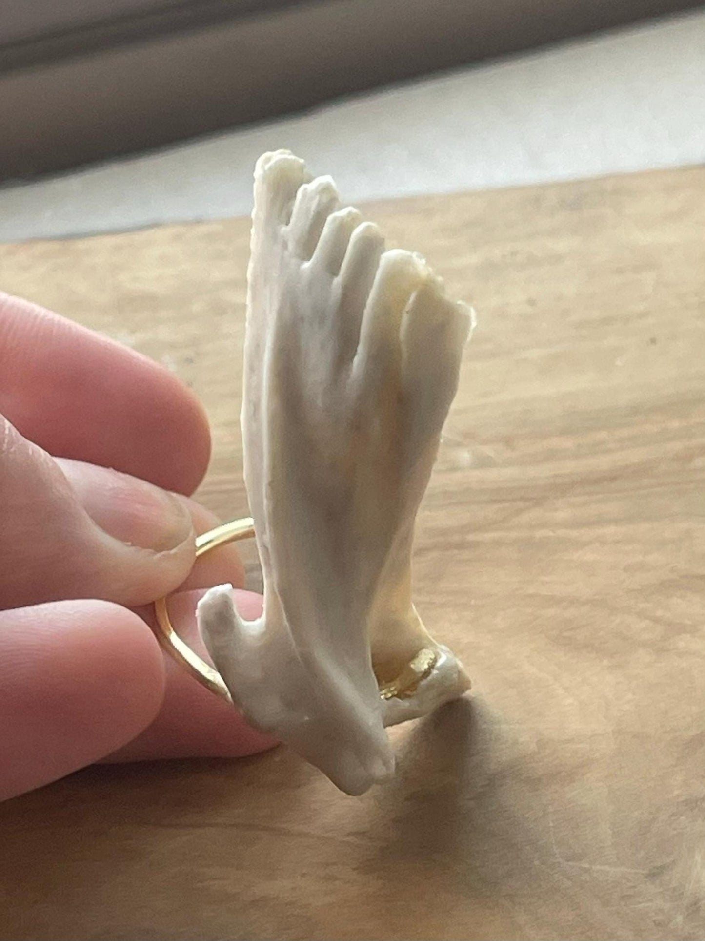 catfish cleithrum bone ring (gold 1)