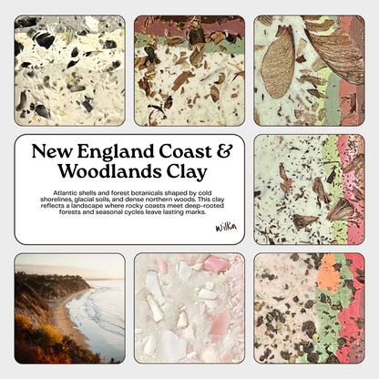 New England Coast & Woodlands Clay