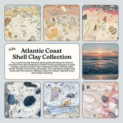 Atlantic Coast Shell Clay Collection