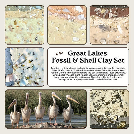 Great Lakes Freshwater Fossil & Shell Clay Set