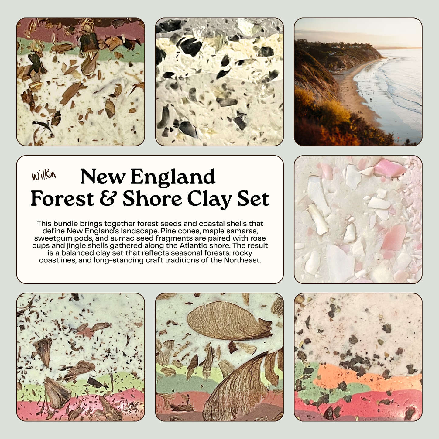 New England Foraged Forest and Shore Clay Set