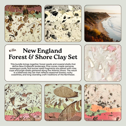 New England Foraged Forest and Shore Clay Set