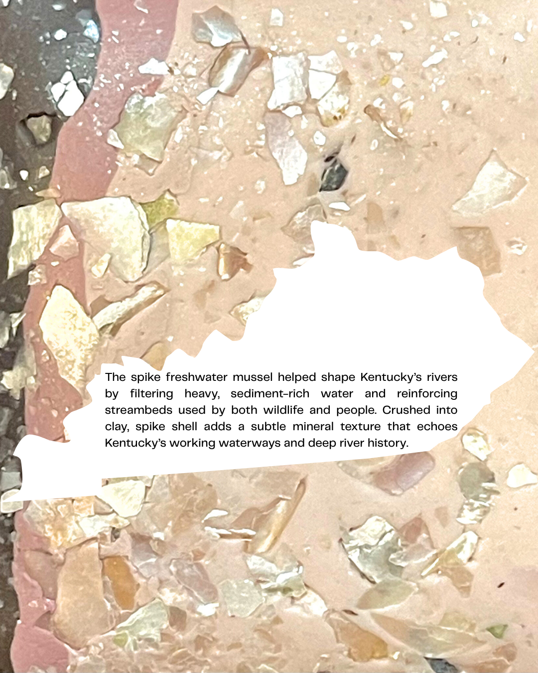 spike mussel infused clay