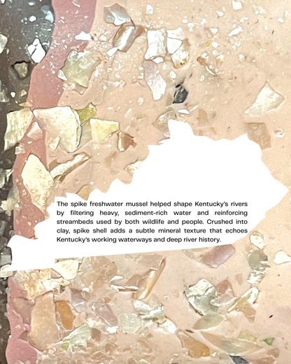 spike mussel infused clay