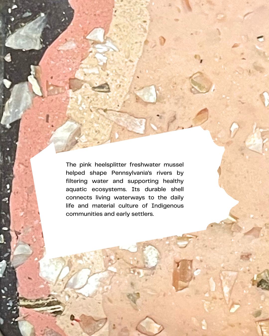 pink heelsplitter infused clay