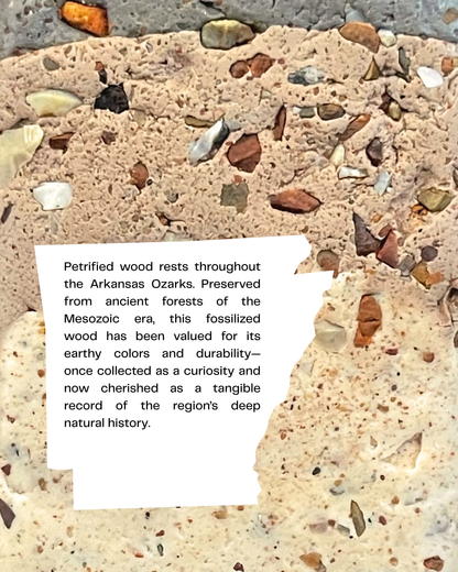 petrified wood infused clay