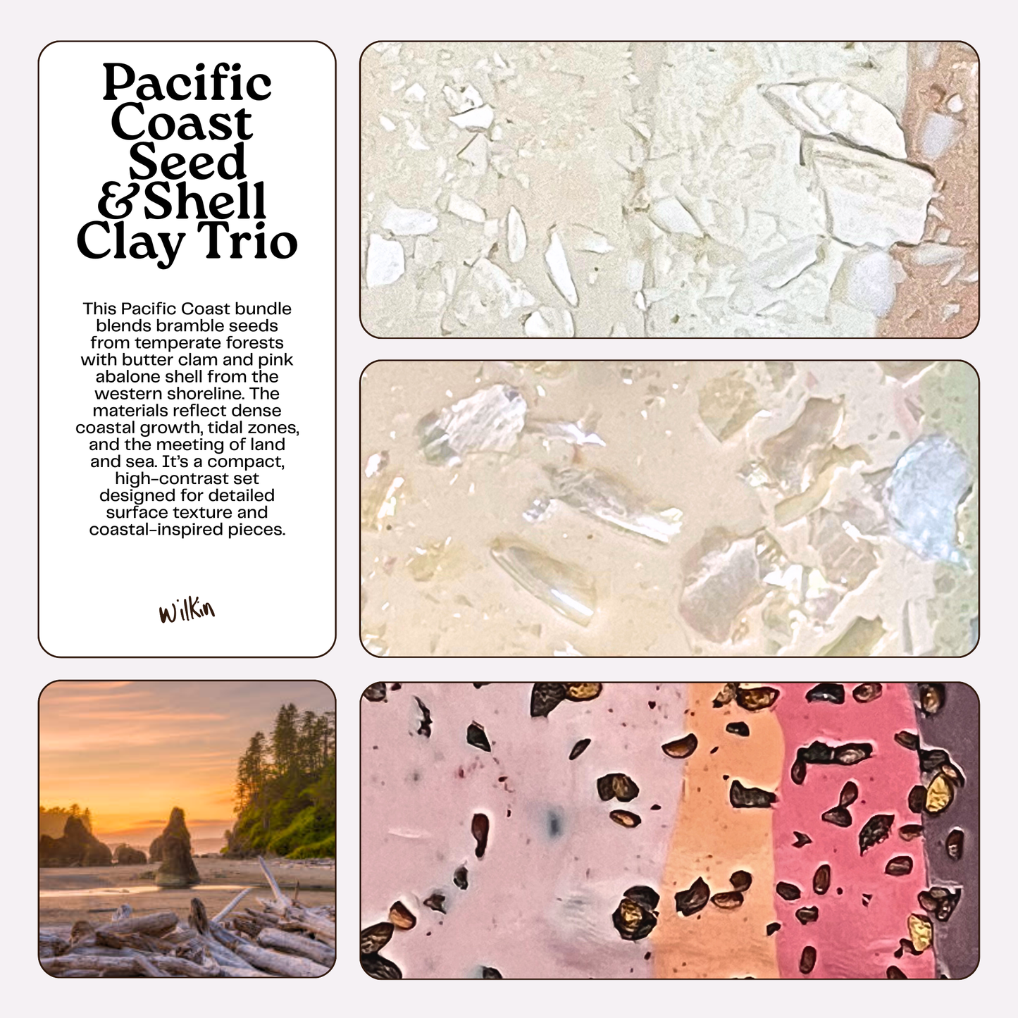 Pacific Coast Foraged Seed and Shell Clay Trio