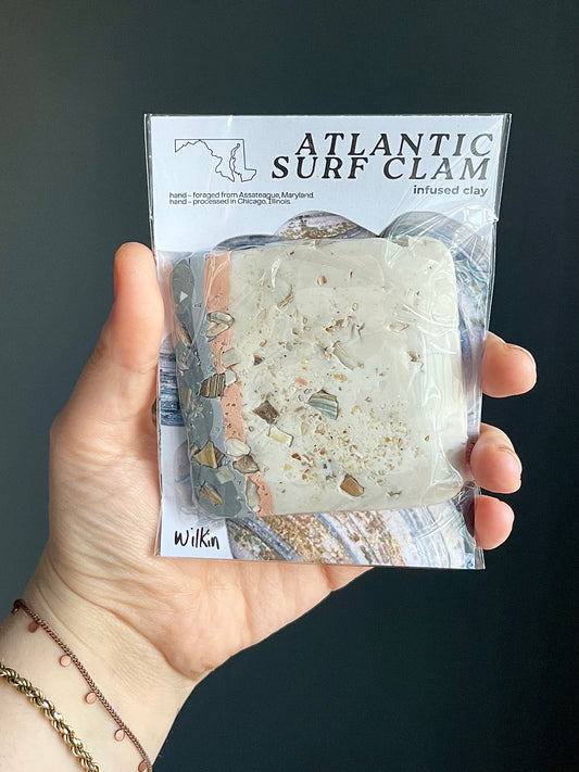 atlantic surf clam infused clay