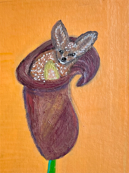 Habitat ACEO collection