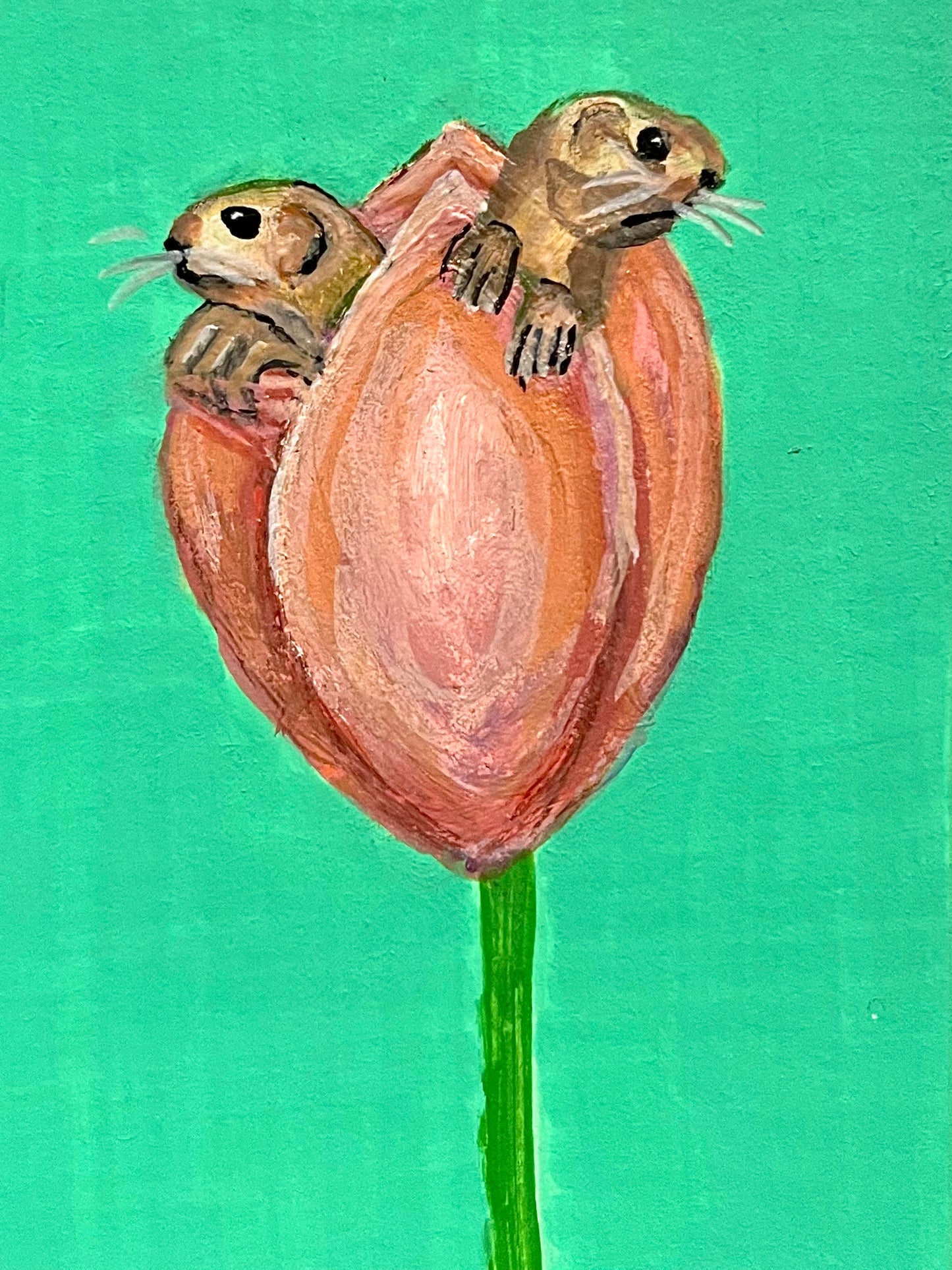 Habitat ACEO collection