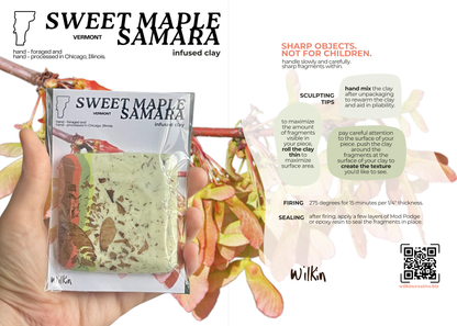 sugar maple samara infused clay