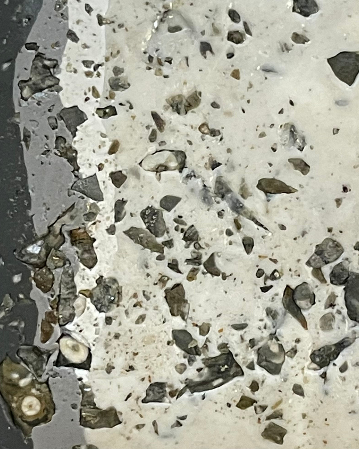 crinoidal limestone infused clay