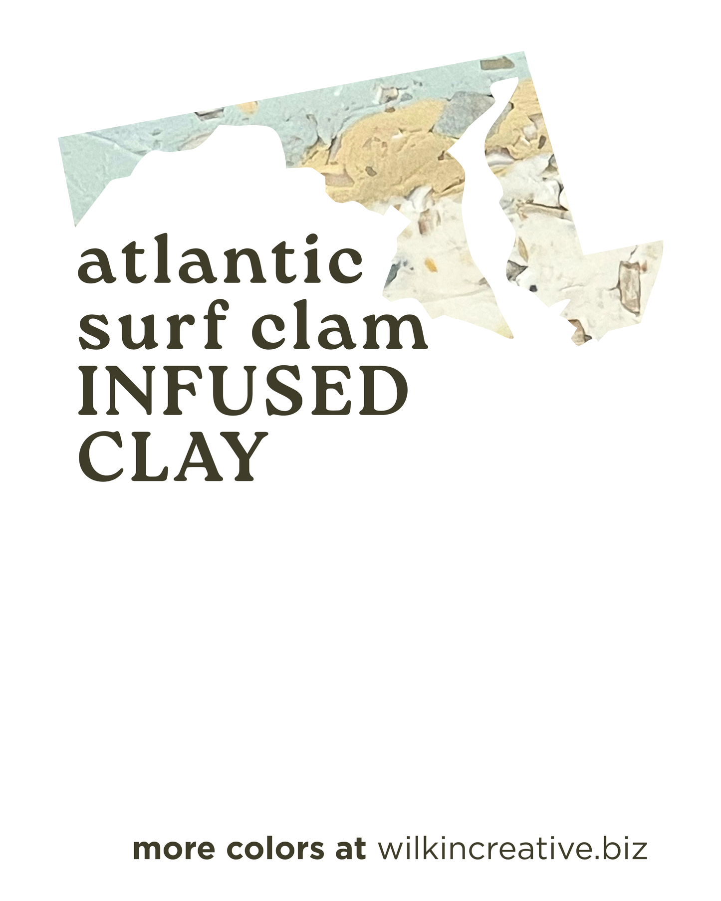 atlantic surf clam infused clay
