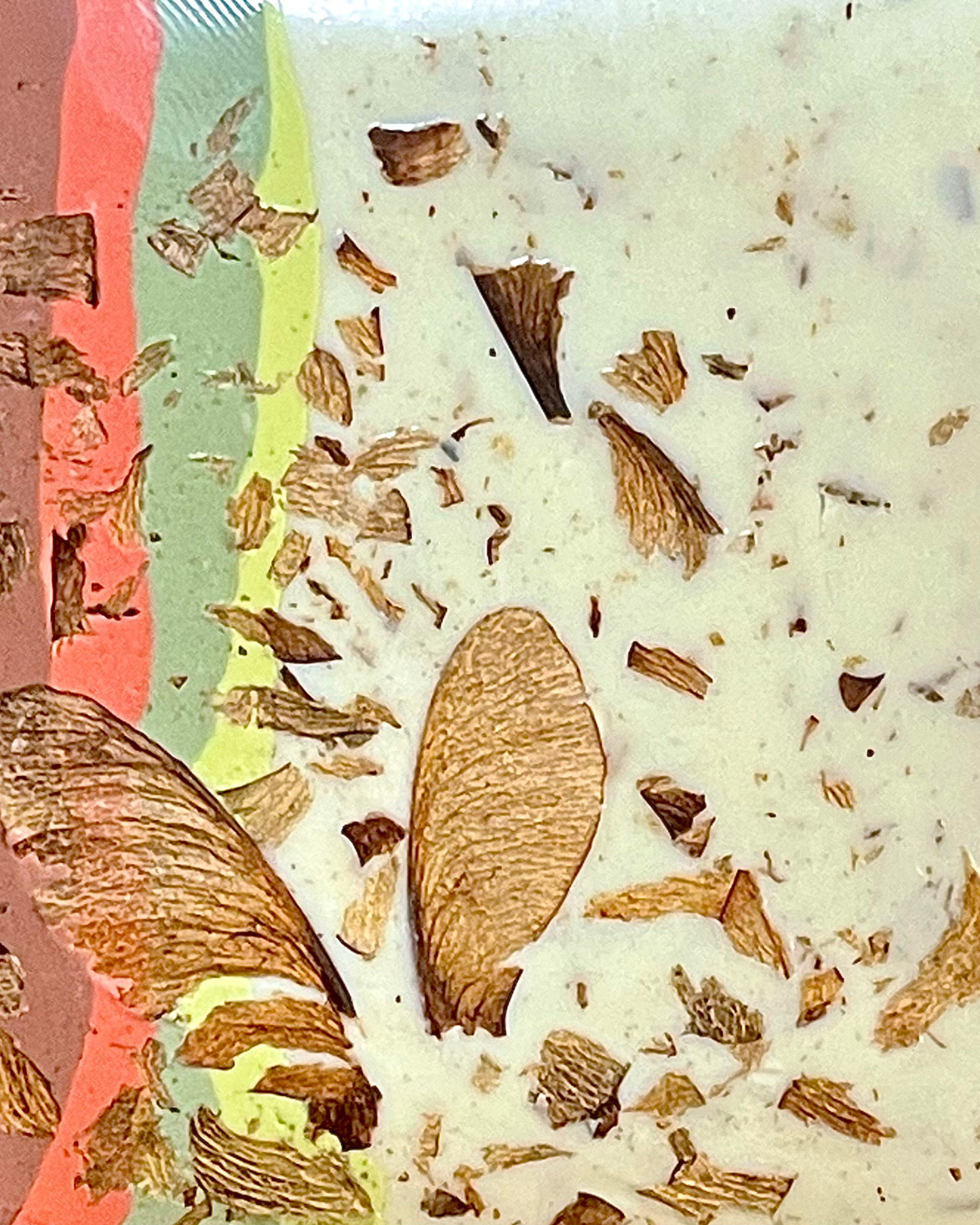 sugar maple samara infused clay