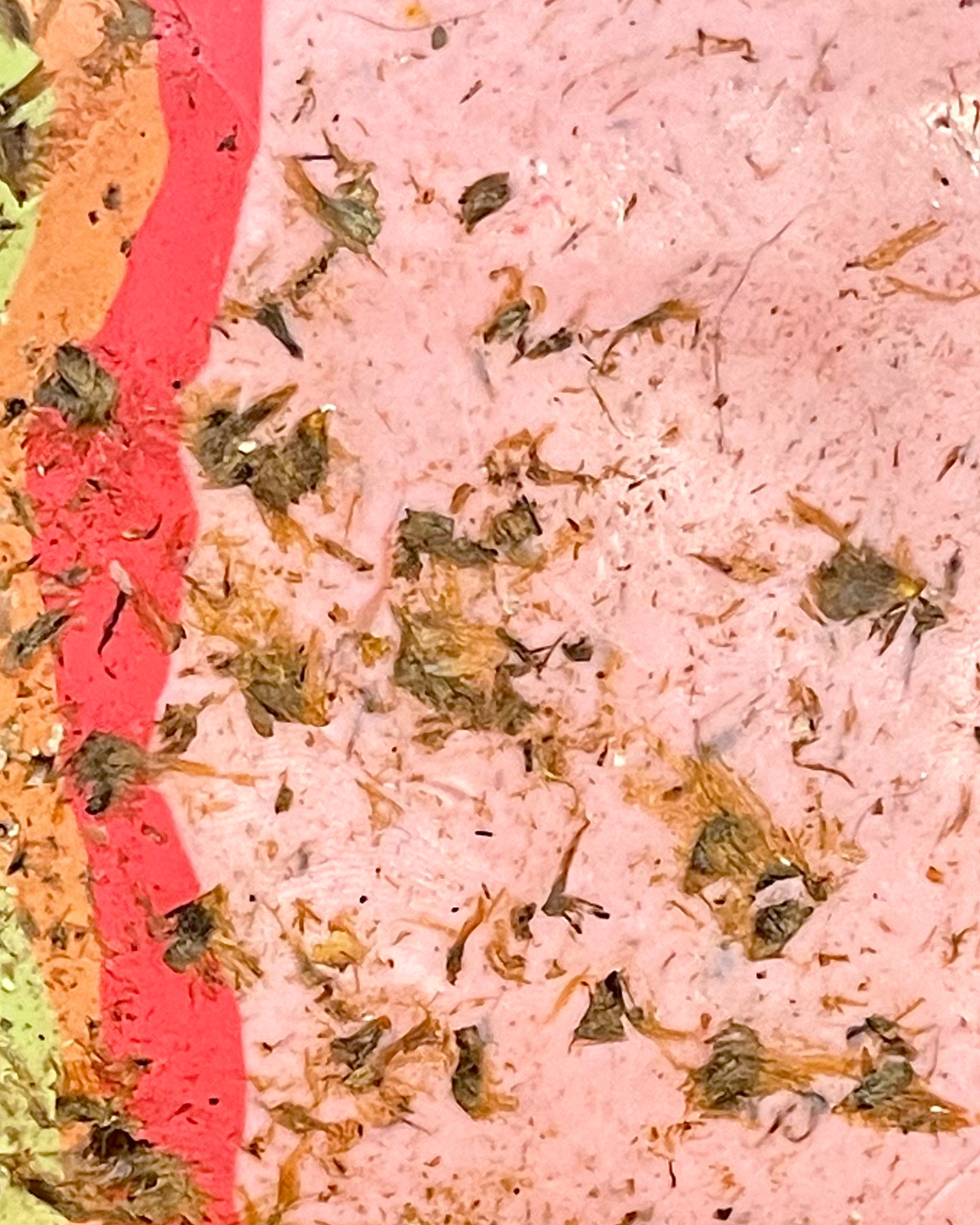 trumpet vine infused clay