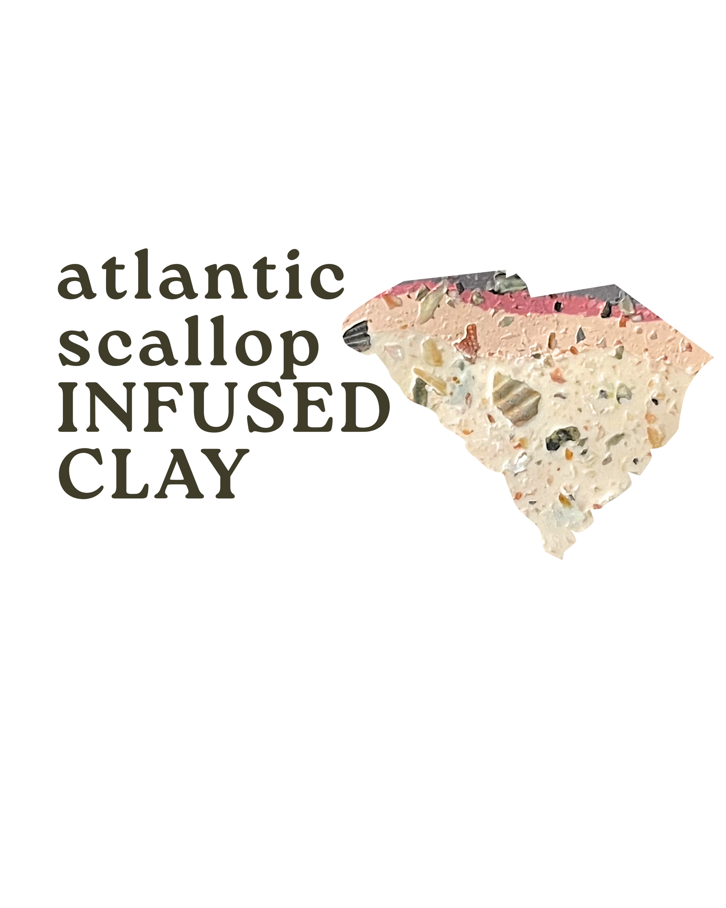 atlantic scallop infused clay