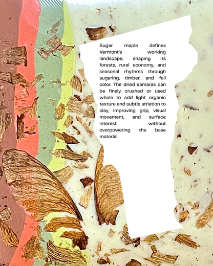 sugar maple samara infused clay