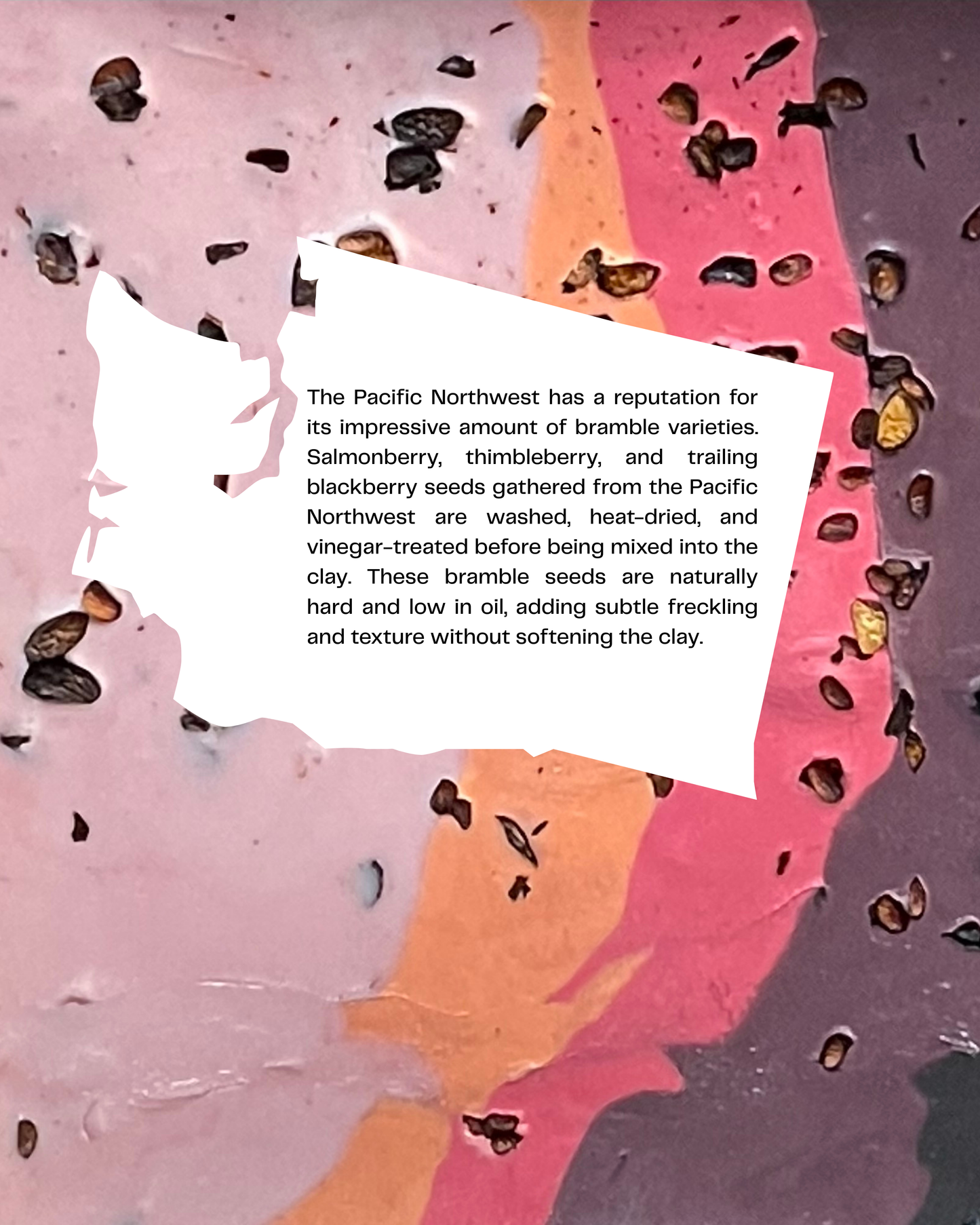 pacific brambleseed infused clay