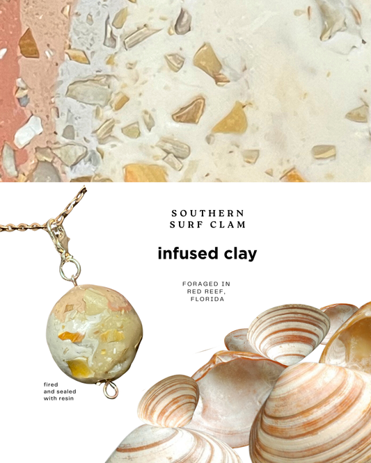 southern surf clam infused clay