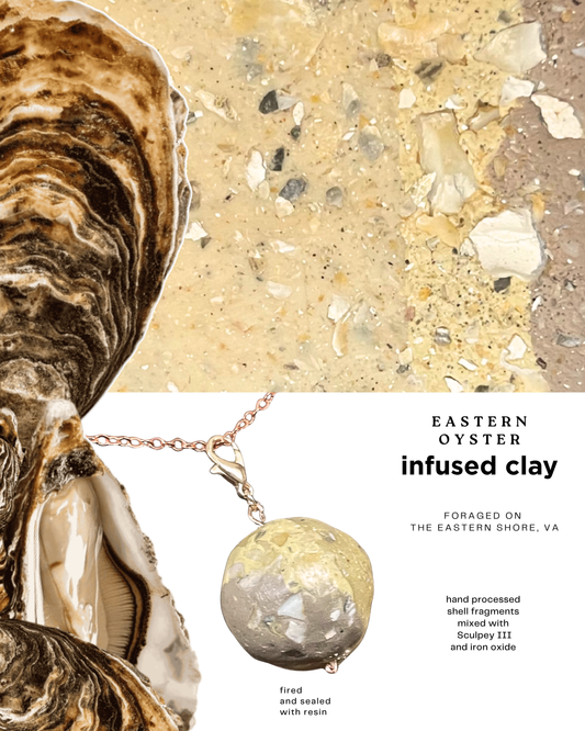 eastern oyster infused clay