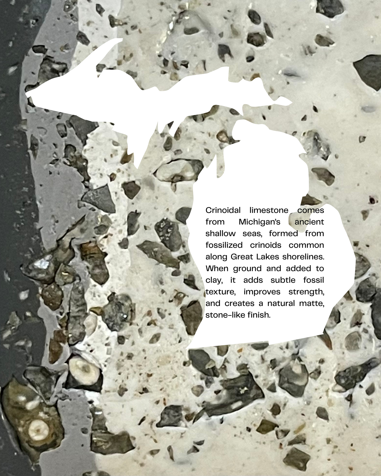 crinoidal limestone infused clay