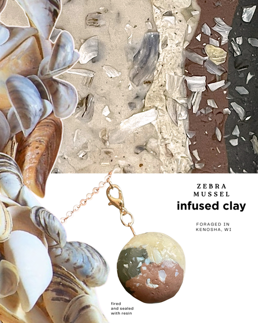 zebra mussel infused clay