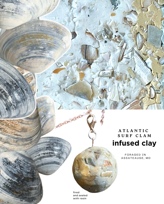 atlantic surf clam infused clay
