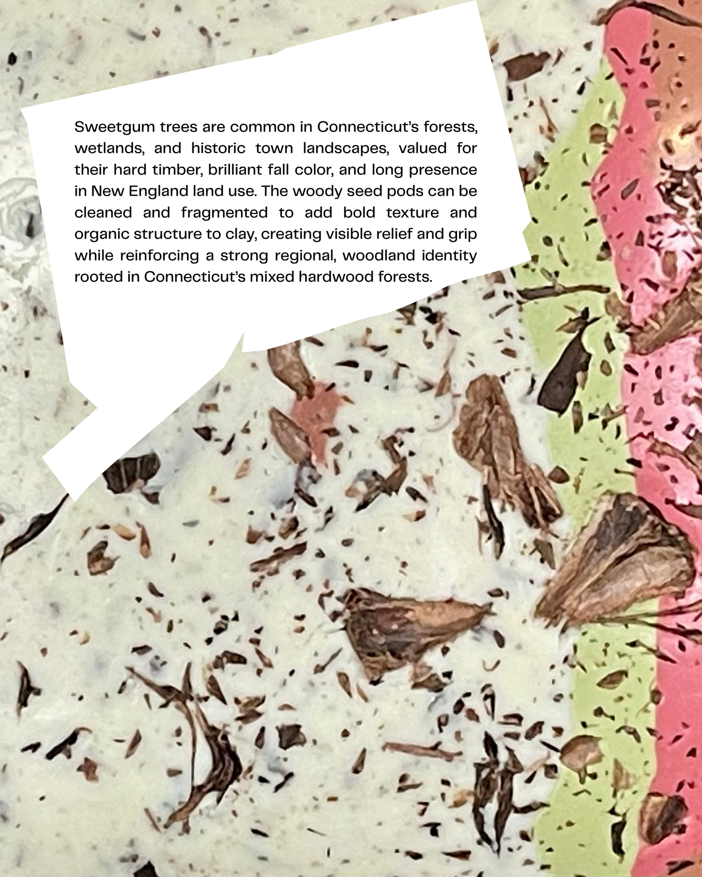 sweetgum infused clay