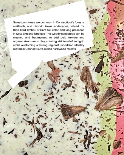 sweetgum infused clay