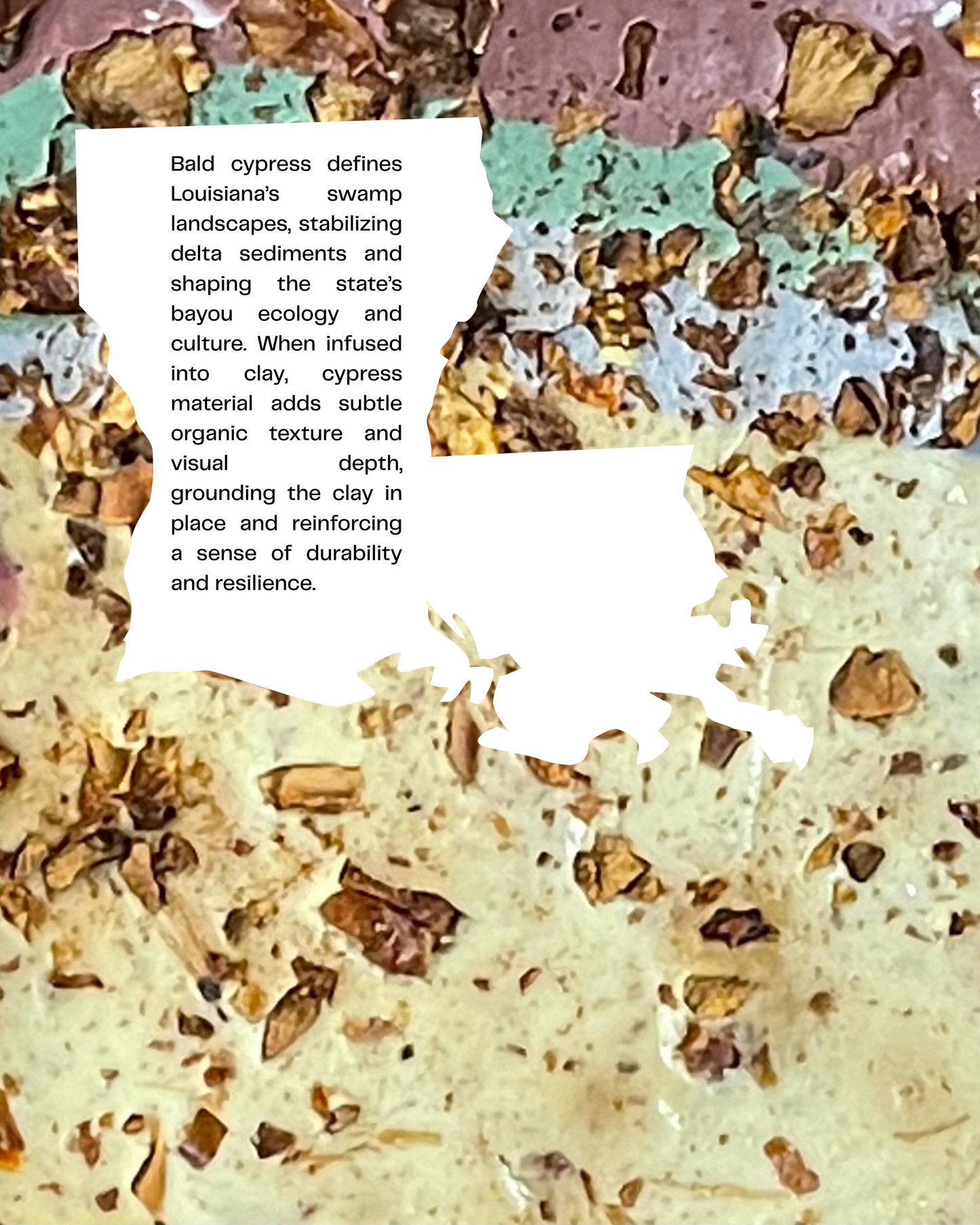 bald cypress infused clay