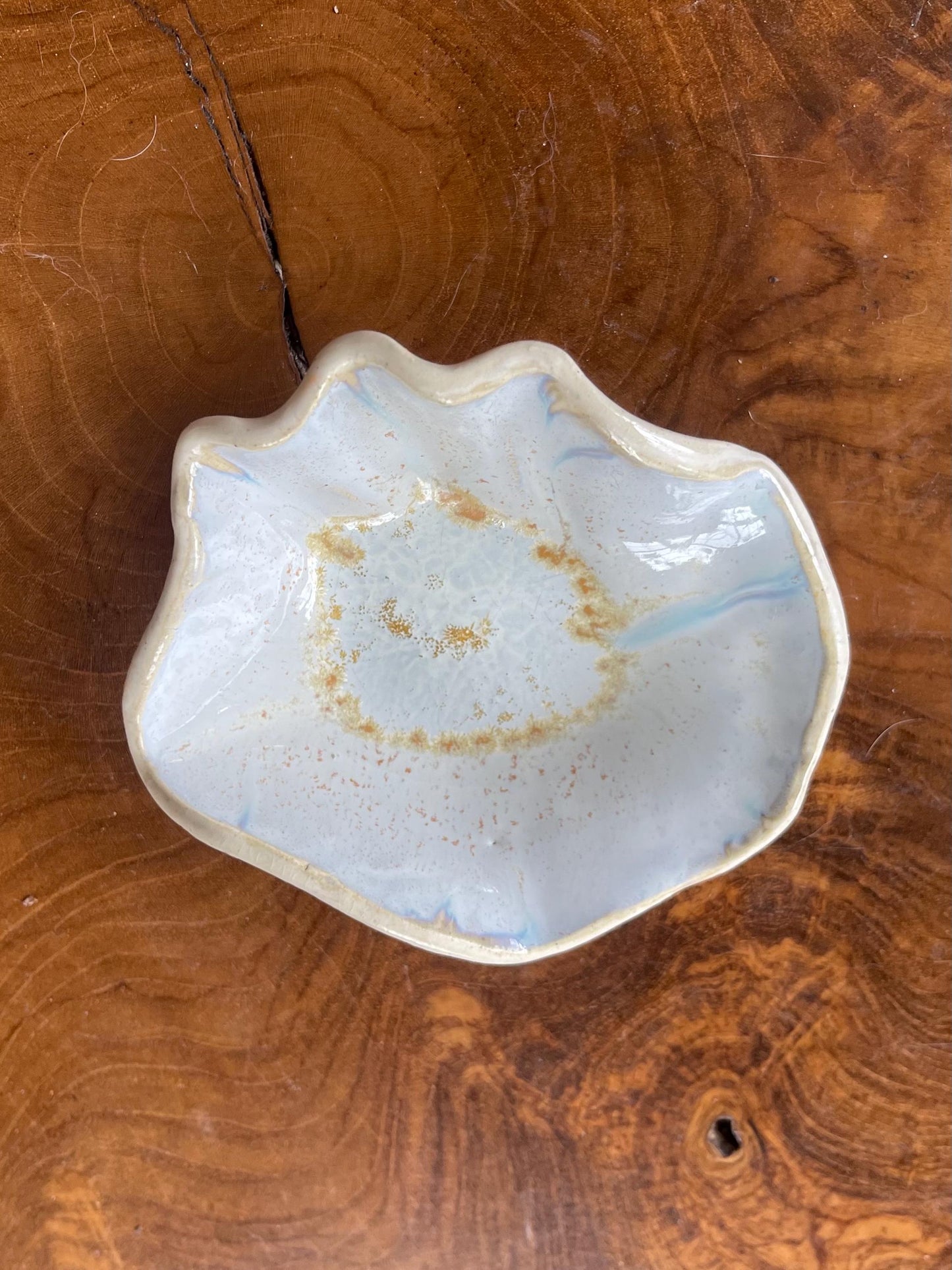 Palm Palette - scalloped pottery bowl (ceramic hand fired)