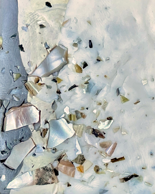 giant floater clam clay