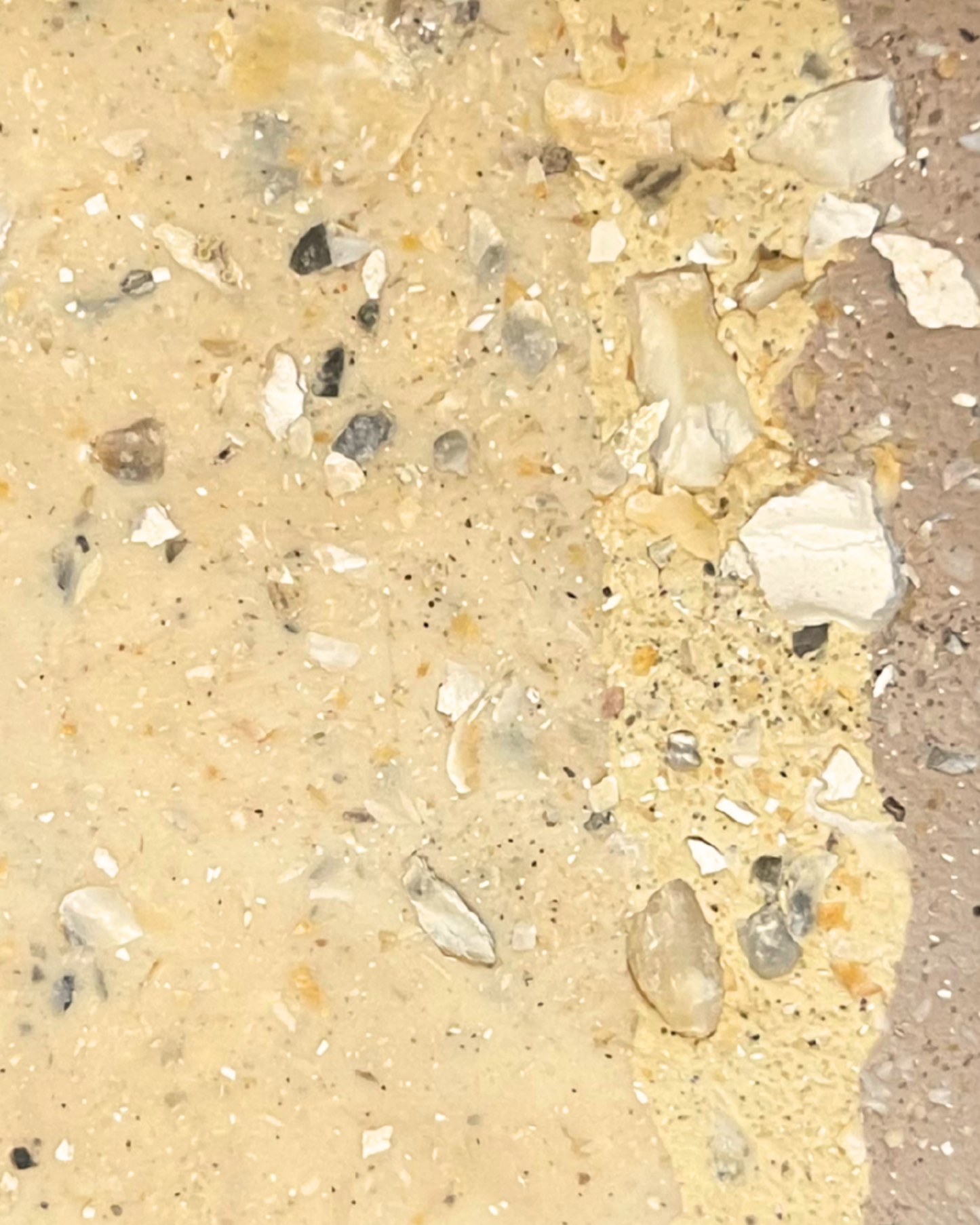 eastern oyster infused clay