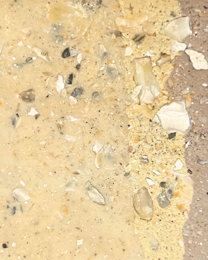 eastern oyster infused clay